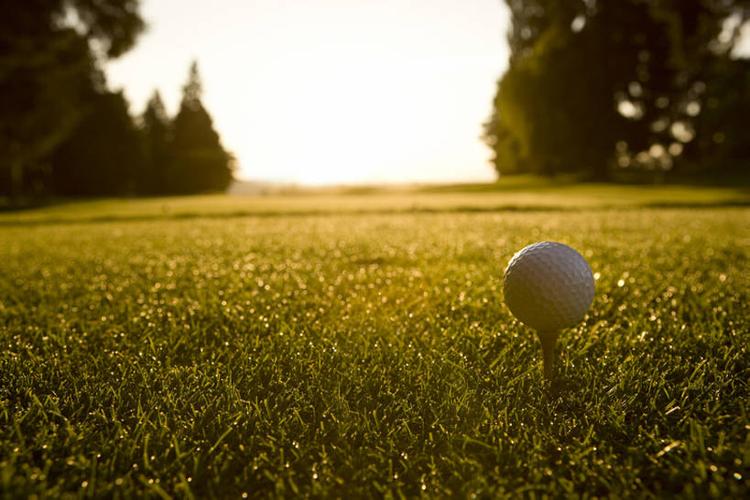 以应对变幻 以应对变幻