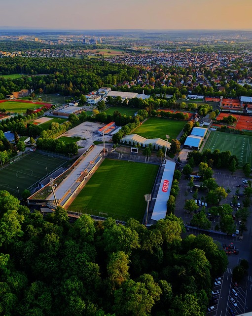 職業賽場上 職業賽場上