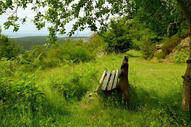 这种模式不 这种模式不